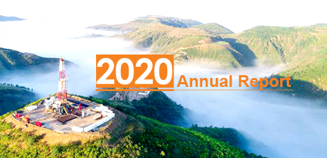 	2020 Annual Report online	